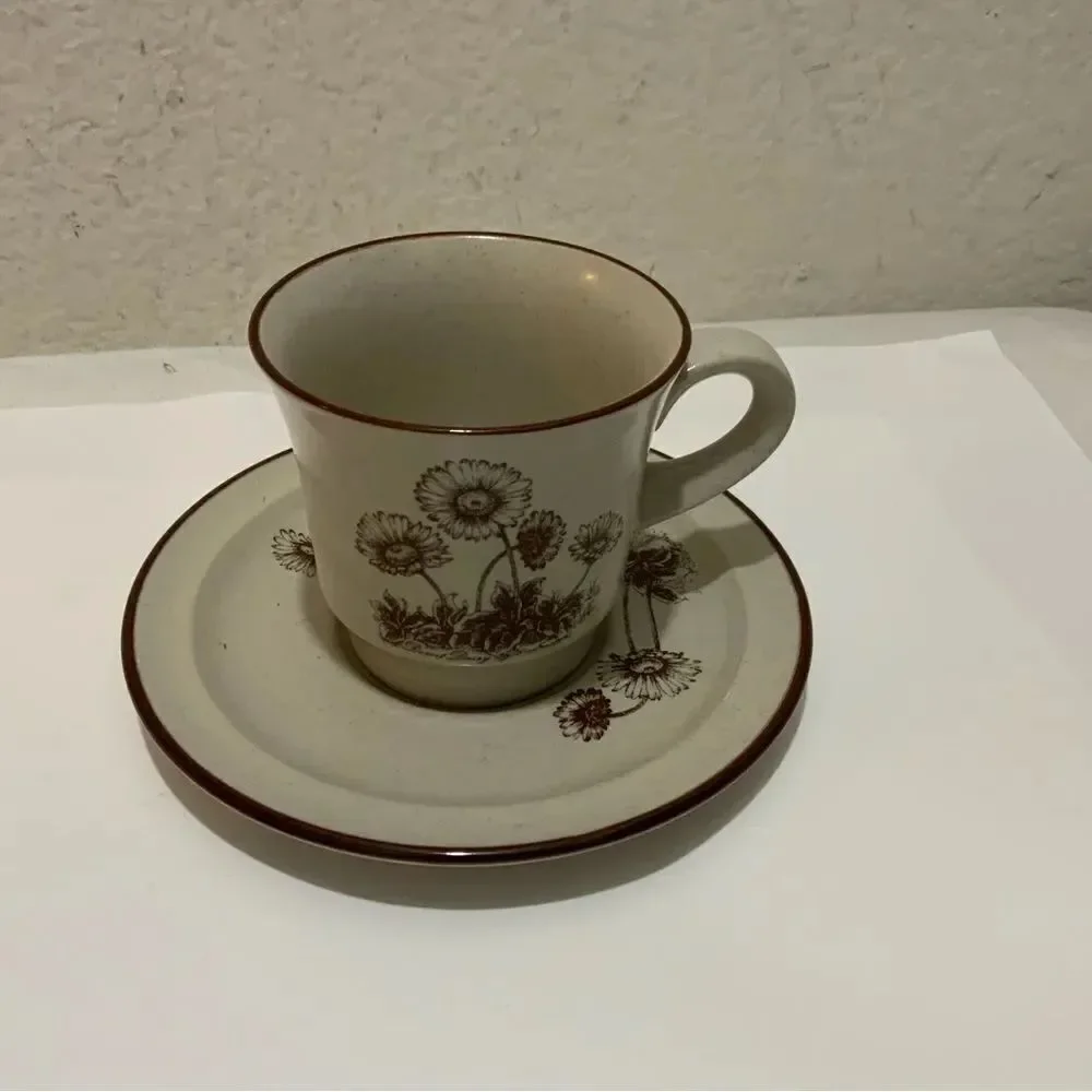 Noritake Cup & Saucer Set Desert Flowers B2
